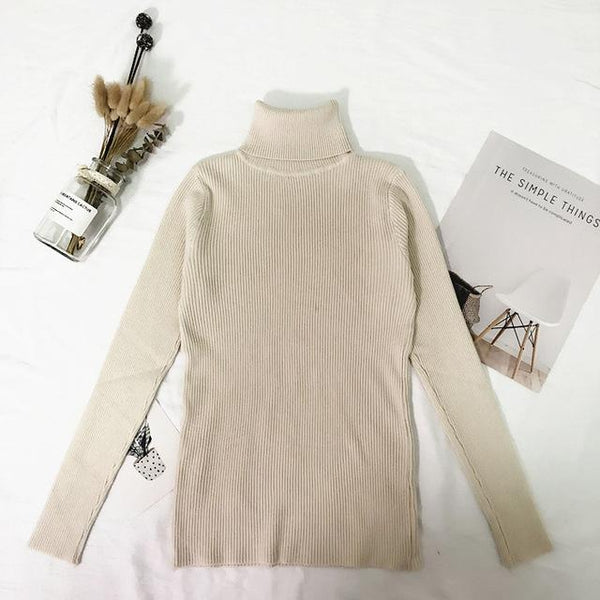 2019 Winter Tops Turtleneck Sweater