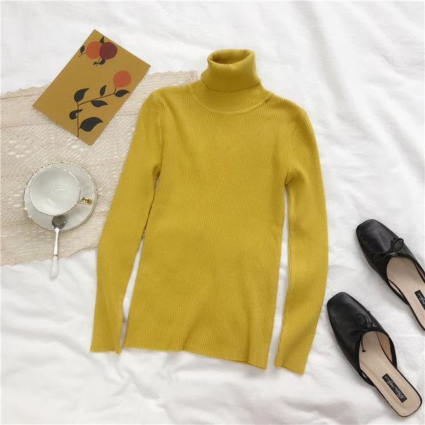 2019 Autumn Winter Thick Sweater