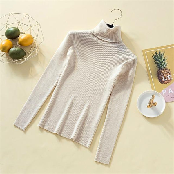 Knit Sweater For Women