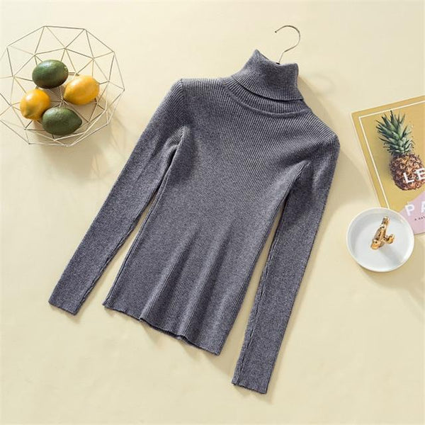 Knit Sweater For Women