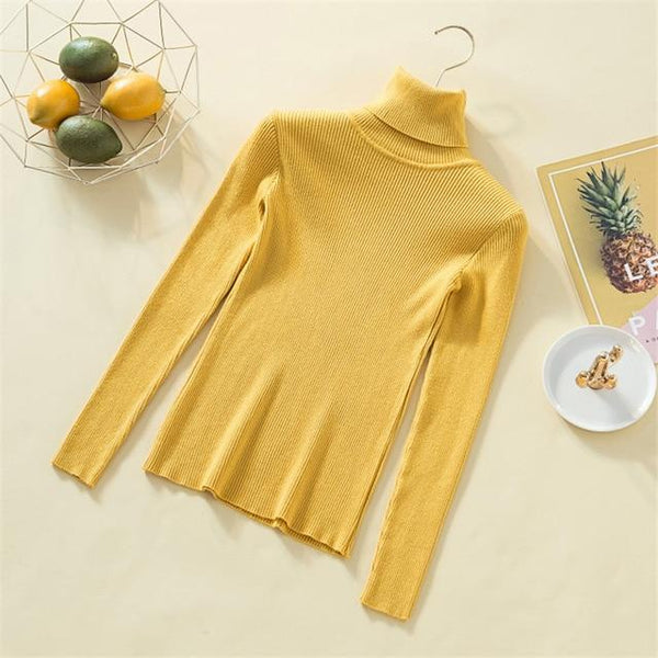 Knit Sweater For Women