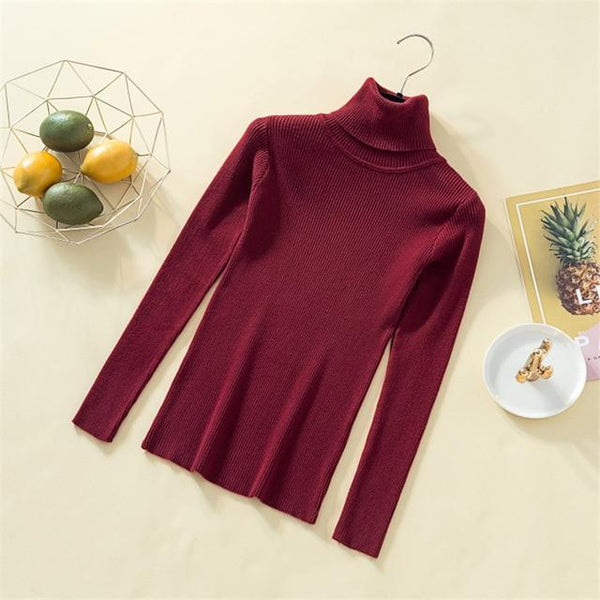 Knit Sweater For Women